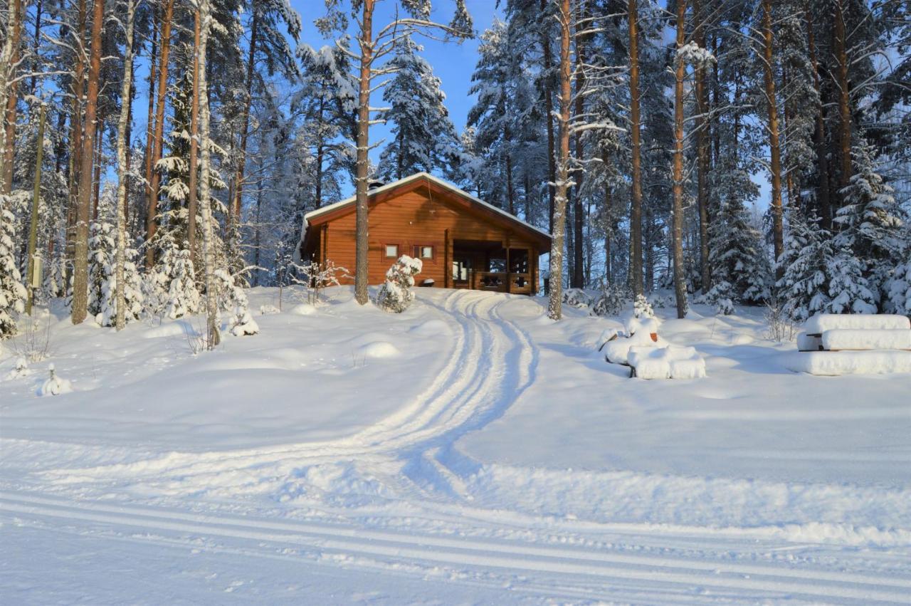 Rinnepelto Holiday Cottages Tahkovuori Ngoại thất bức ảnh